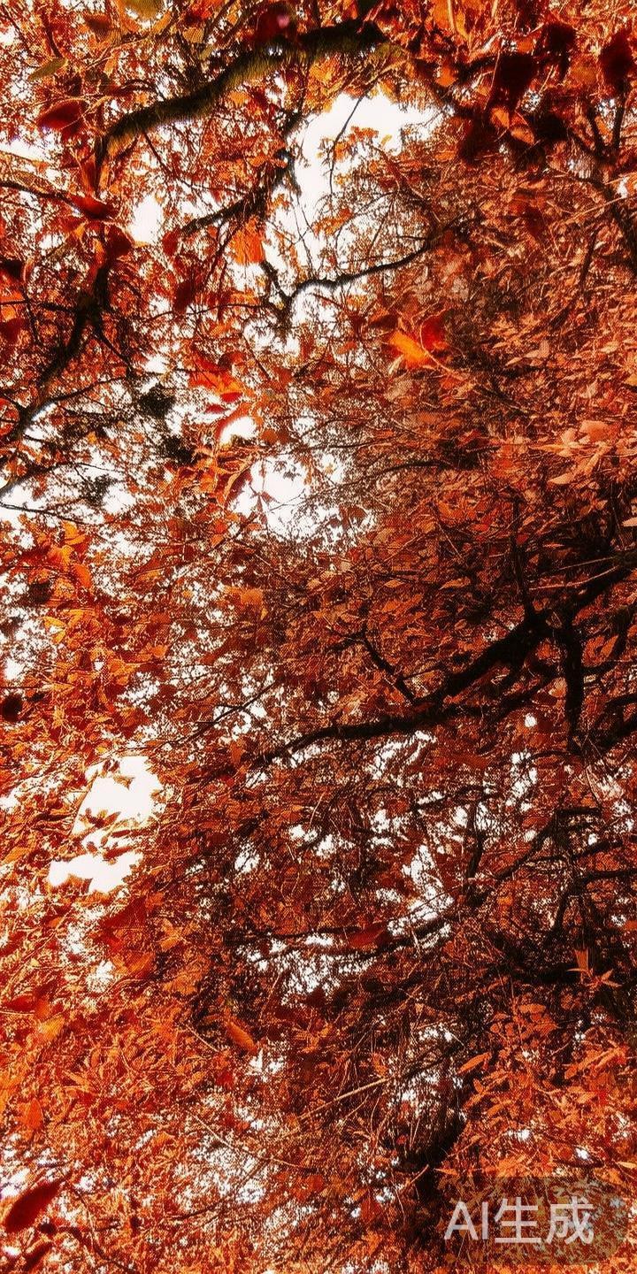 官方授权的应用市场：平台也已入驻各大安卓苹果应用市